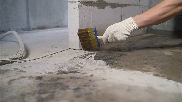 SJ Waterproofing Pros Crawl Space Encapsulation coverage map for Wheaton, MN and surrounding area
